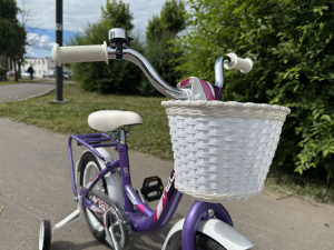 Велосипед Stels 14 flyte