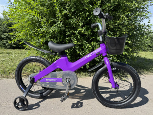 Велосипед TT5002 синий