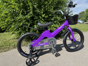 Велосипед TT5002 синий