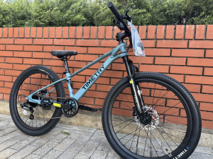 Велосипед Time Try TT228
