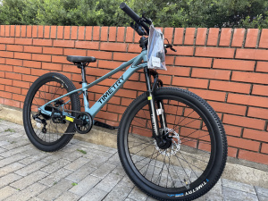 Велосипед Time Try TT228